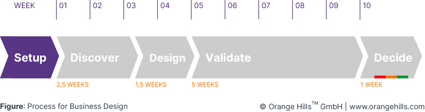 Setup Phase of Business Design Process