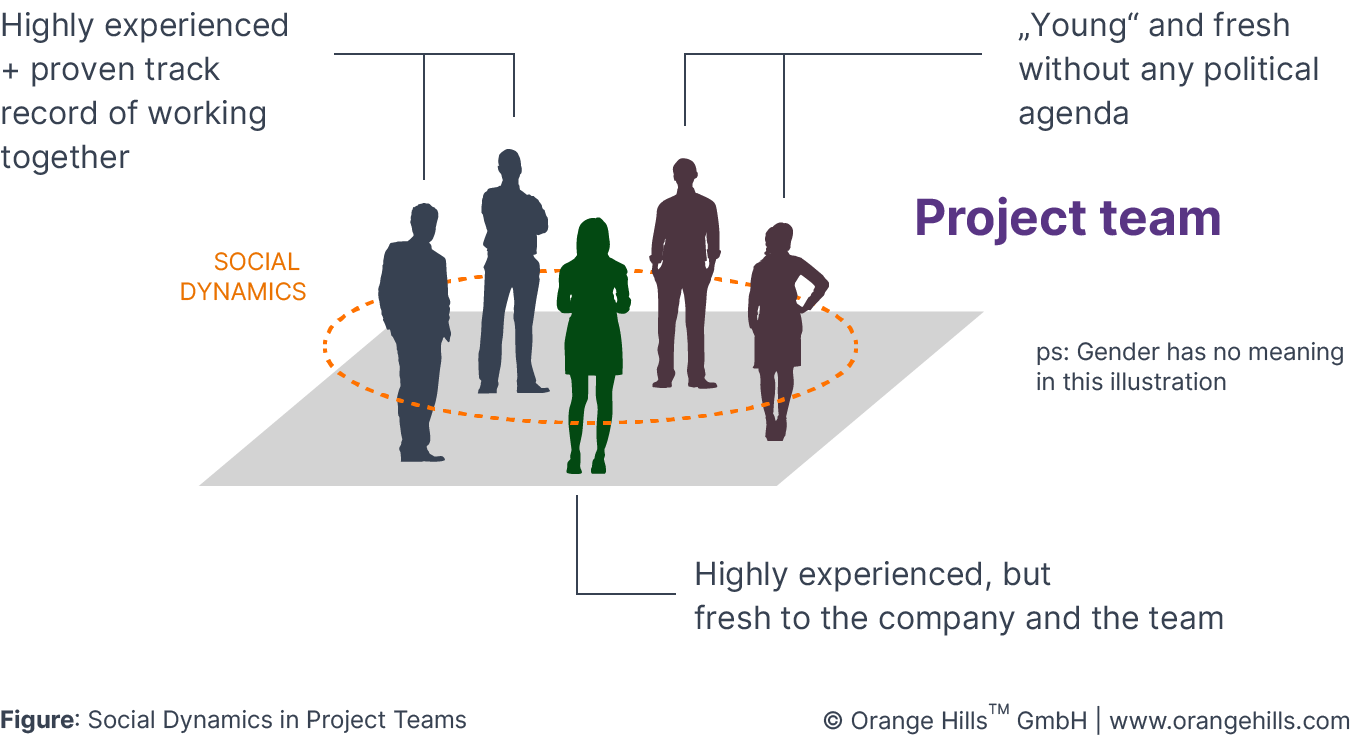 Social Dynamics in Project Teams